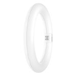 Osram Tube LED T9 Circulaire (EM/Direct 230V) 11W 1320lm - 865  | Remplacement 22W